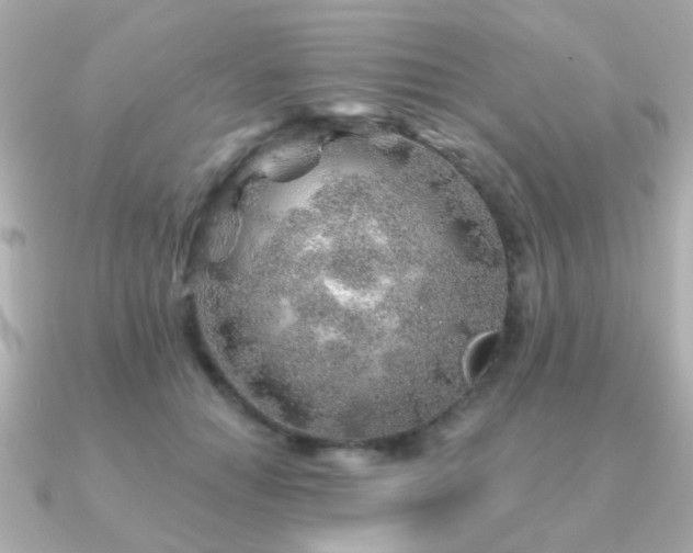 X0000091230654200708091418