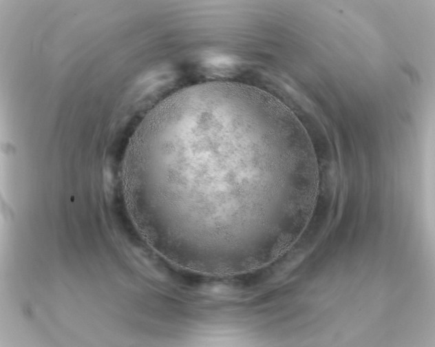 X0000091230655200708091418