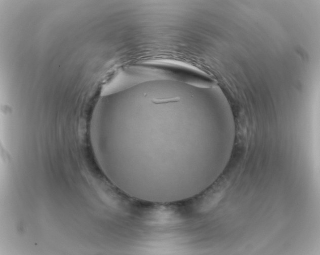 X0000091230656200708091418