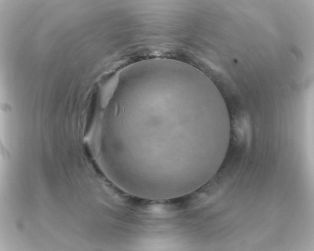 X0000091230657200708091418