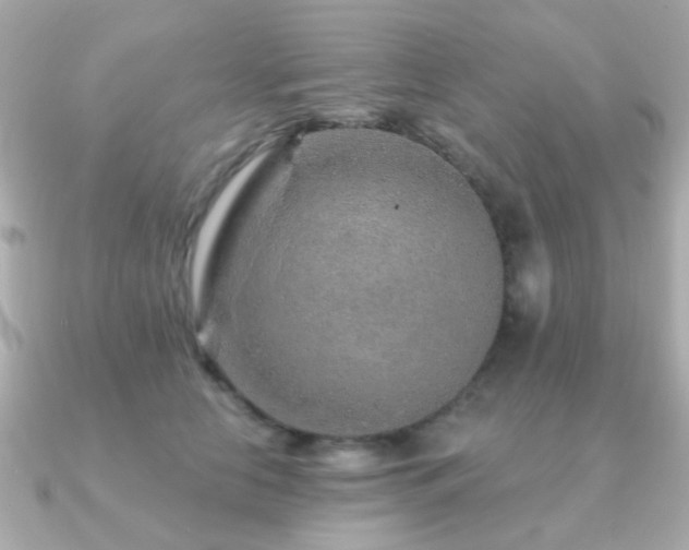 X0000091230658200708091418