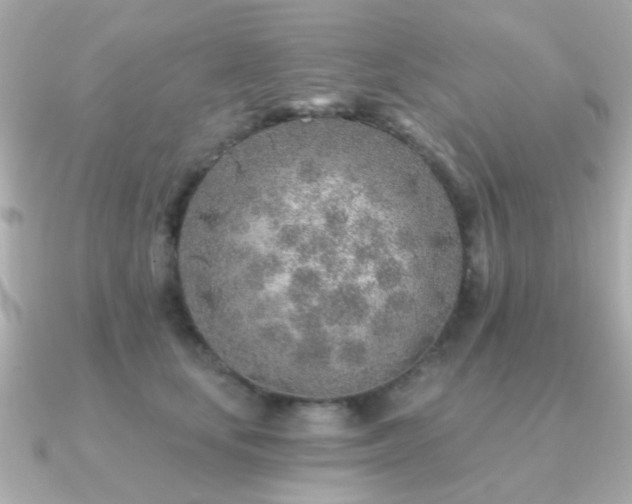 X0000091230659200708091418