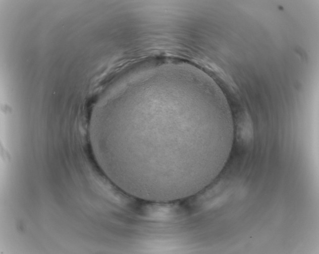 X0000091230661200708091418