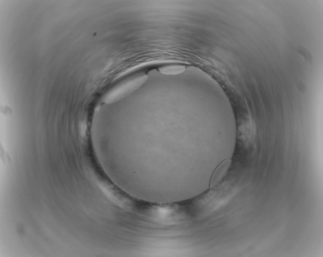 X0000091230662200708091418