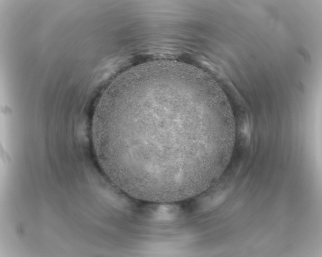 X0000091230663200708091418