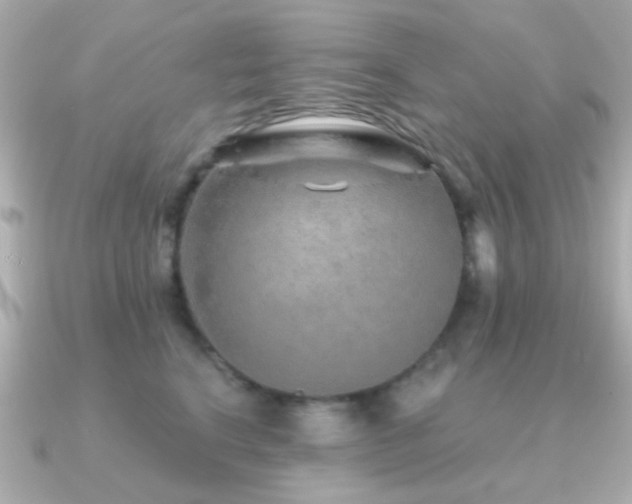 X0000091230664200708091418