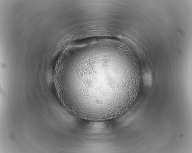 X0000091230665200708091418
