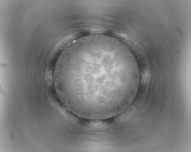 X0000091230666200708091418