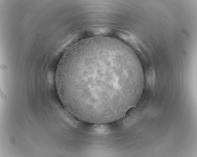 X0000091230667200708091418