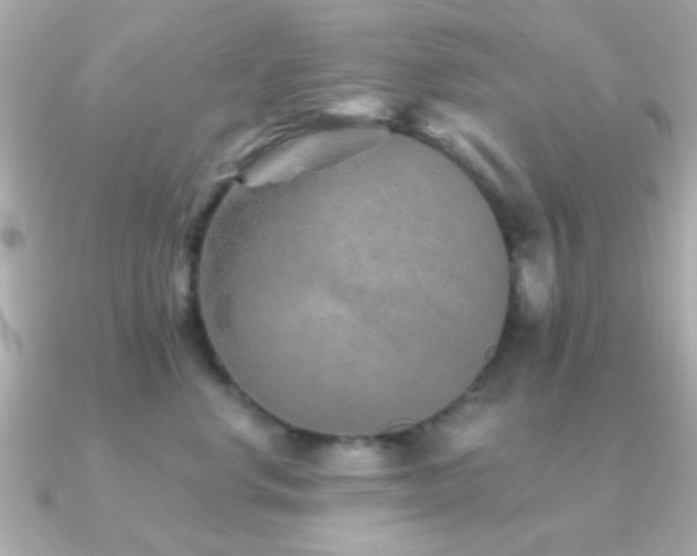 X0000091230668200708091419