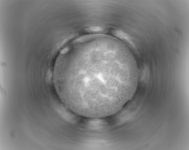 X0000091230669200708091419
