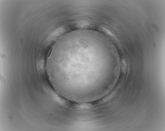 X0000091230670200708091419