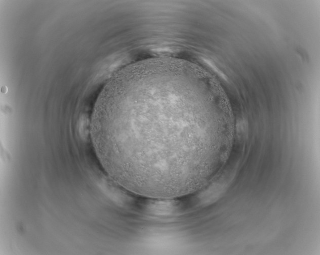 X0000091230671200708091419