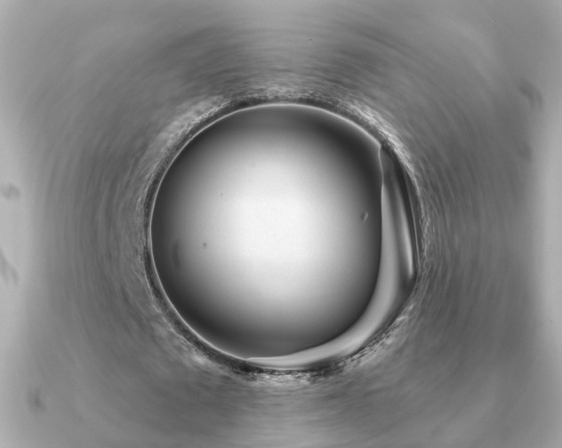 X0000091230673200708091418