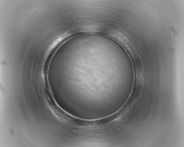 X0000091230674200708091418