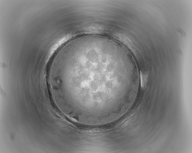X0000091230675200708091418