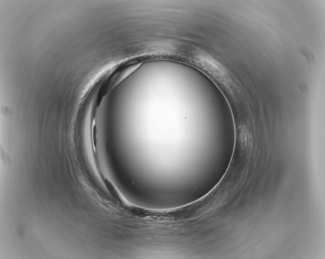 X0000091230676200708091418