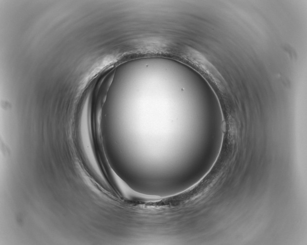 X0000091230677200708091418