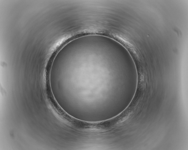 X0000091230678200708091418