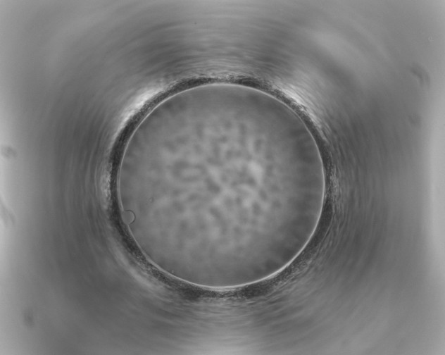 X0000091230679200708091418