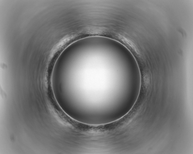 X0000091230682200708091418