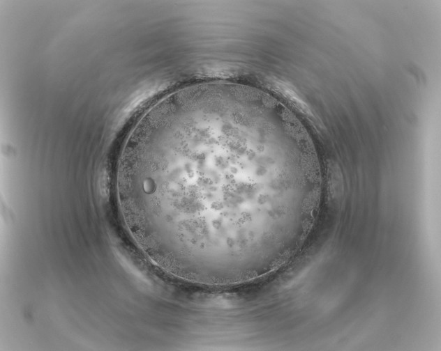 X0000091230683200708091418