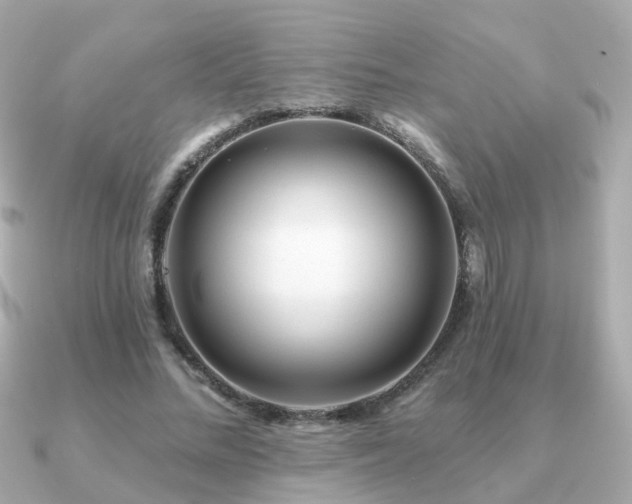 X0000091230684200708091418