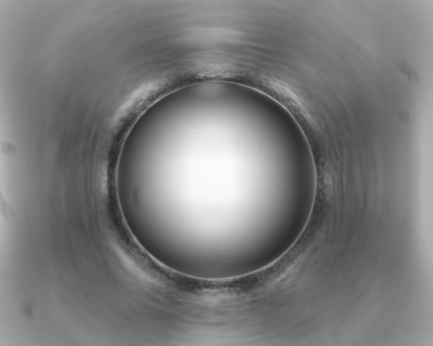 X0000091230686200708091418