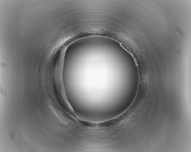 X0000091230688200708091418