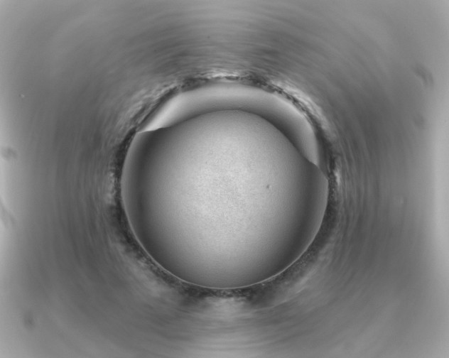 X0000091230689200708091418