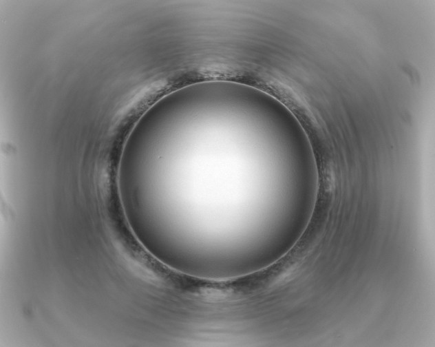 X0000091230690200708091418