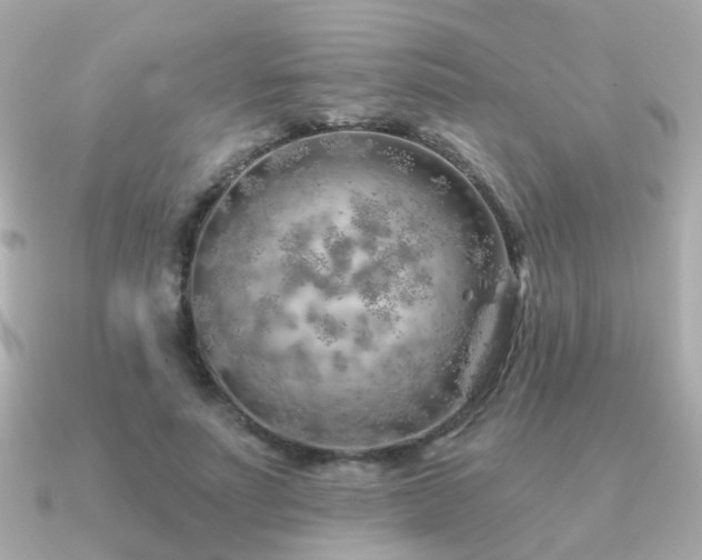 X0000091230691200708091418