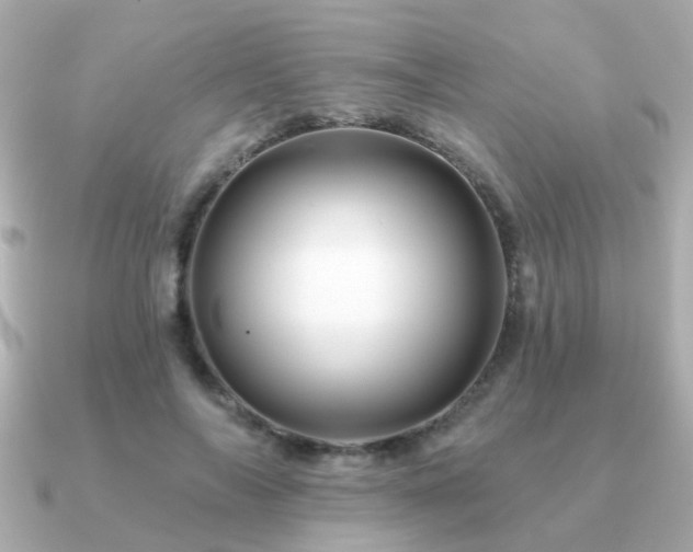 X0000091230694200708091418