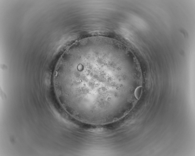 X0000091230695200708091418