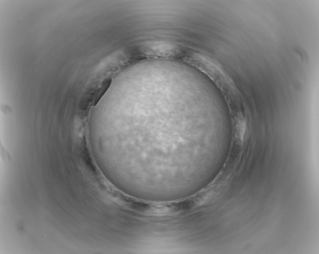 X0000091230701200708091418