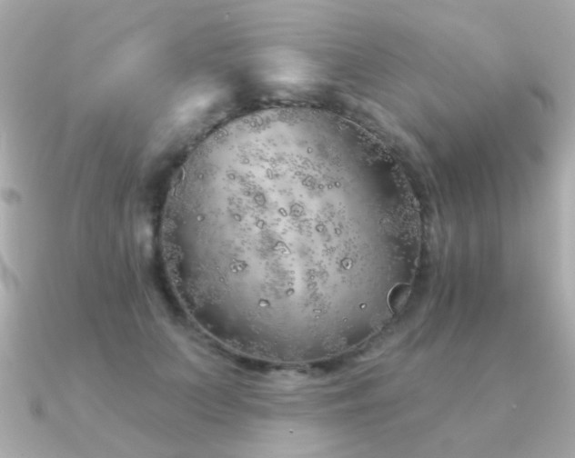 X0000091230703200708091418