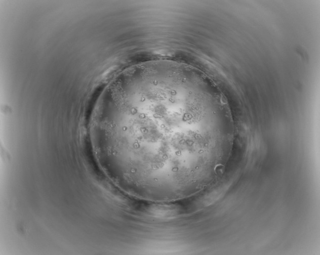 X0000091230707200708091418