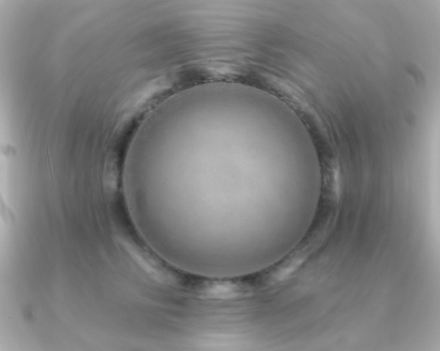 X0000091230710200708091418