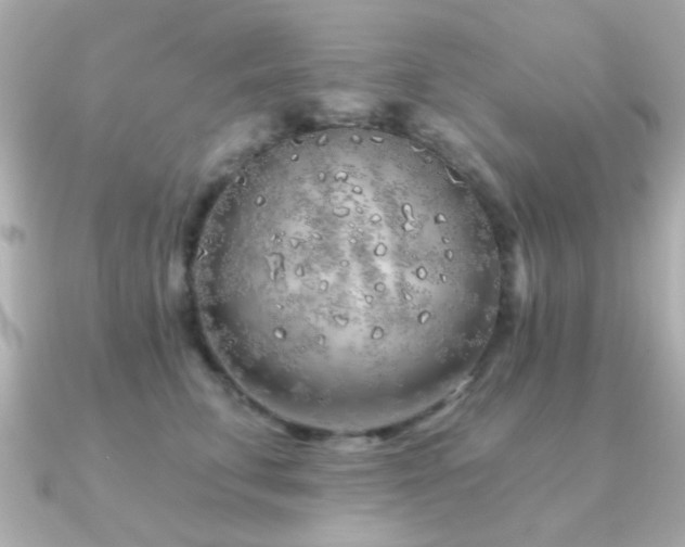 X0000091230711200708091418