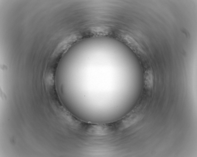 X0000091230713200708091418