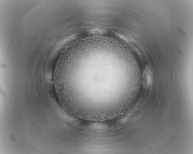 X0000091230714200708091418
