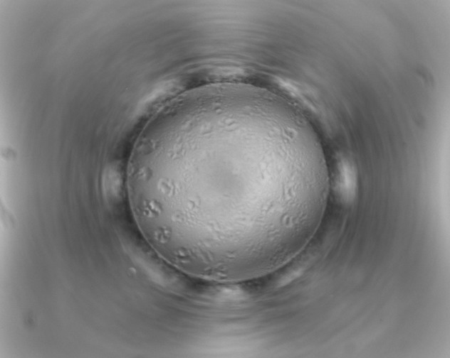 X0000091230715200708091418