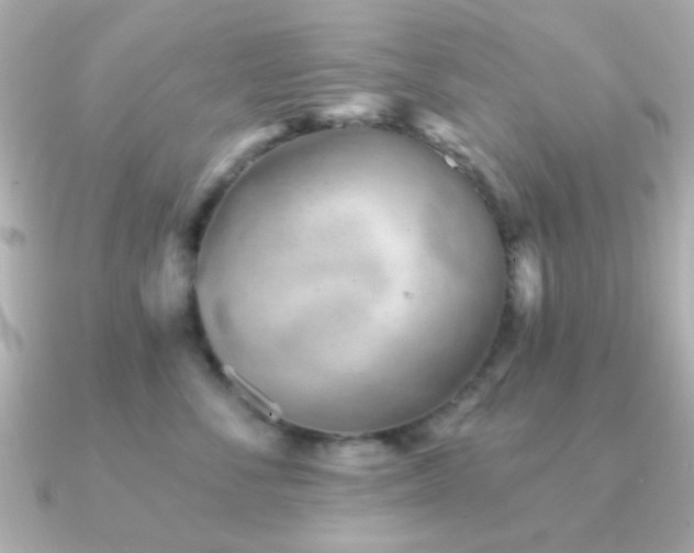 X0000091230716200708091418