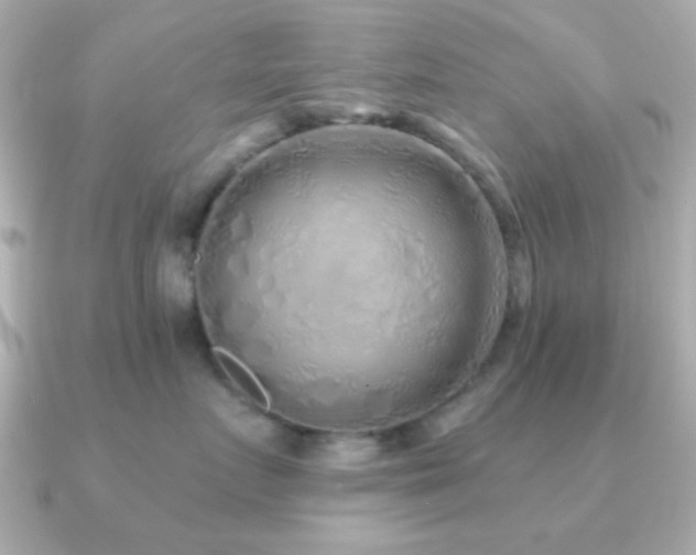 X0000091230719200708091417