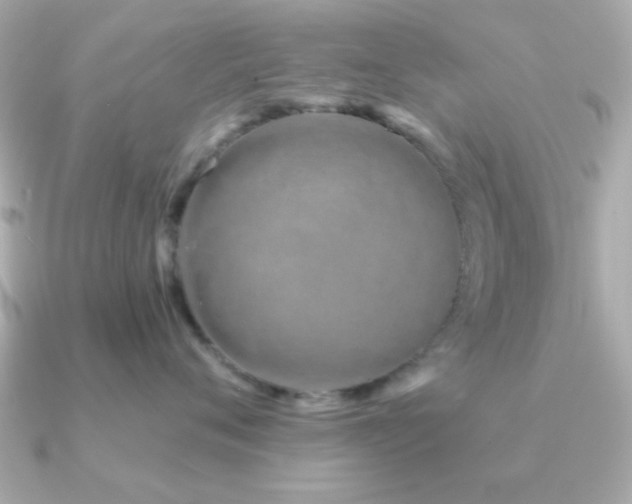 X0000091230720200708091417