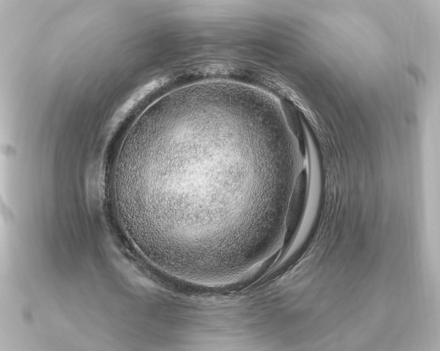 X0000091230722200708091417