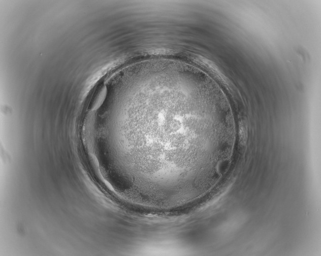 X0000091230725200708091417