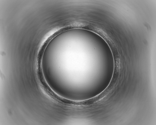 X0000091230726200708091417