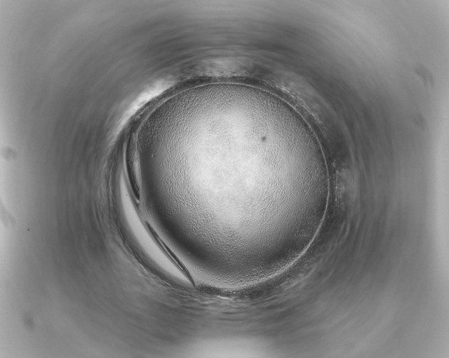 X0000091230727200708091417