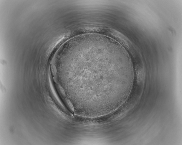 X0000091230729200708091417